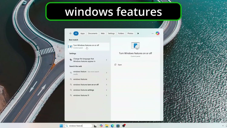 Windows search bar with windows features typed, showing the Turn Windows features on or off result.
